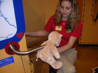 08-stuffing_the_bear