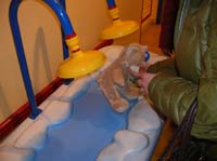 11-fluffing-washing_the_bear
