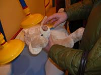 12-fluffing-washing_the_bear
