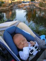 08-pretty_pond_to_relax_nearby