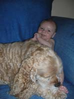 14-Kenny_is_happy_sitting_upright_next_to_Baxter