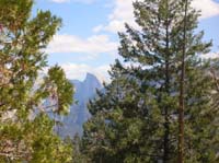065-view_of_Half_Dome_through_the_pine_trees