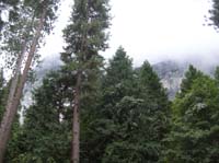 109-low_clouds_snowing_on_Glacier_Point