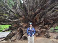 131-Daddy_and_Kenny_with_fallen_Sequoia