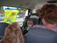 19-on_the_road_to_Big_Bear_California