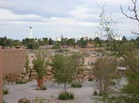 21-The_Strip_from_the_Springs_Preserve