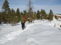 031-Mommy_taking_Kenny_back_down_the_trail