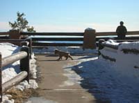 098-Baxter_and_Kristi_at_viewpoint