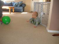 01-Mommy_got_me_a_big_green_ball