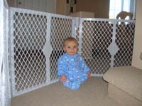 14-this_fence_is_supposed_to_keep_me_out_of_trouble