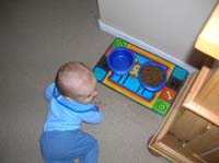 19-is_anybody_looking-I_want_to_play_in_that_water_dish