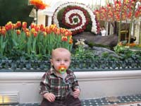 16-Kenny_at_Bellagio_Conservatory