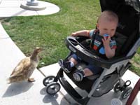 02-Kenny_and_his_ducky_friend