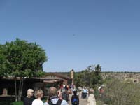 27-California_Condor_in_flight_over_Bright_Angel_Lodge_area