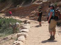 53-Mommy_with_another_one_further_up_the_trail
