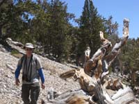 23-Grandpa_on_the_loose_rock