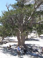 42-Grandpa_and_Kenny_with_Raintree