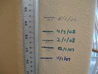 83-Kenny_is_now_29.5_inches_tall