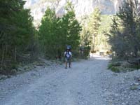 31-start_of_Trail_Canyon_trail_in_Mt._Charleston