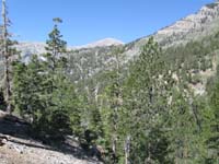 34-Mt._Charleston_near_Trail_Junction-still_snow