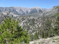 37-Mt._Charleston_along_NLT_to_Raintree