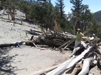 44-Kenny_and_Mommy_in_wind_shelter
