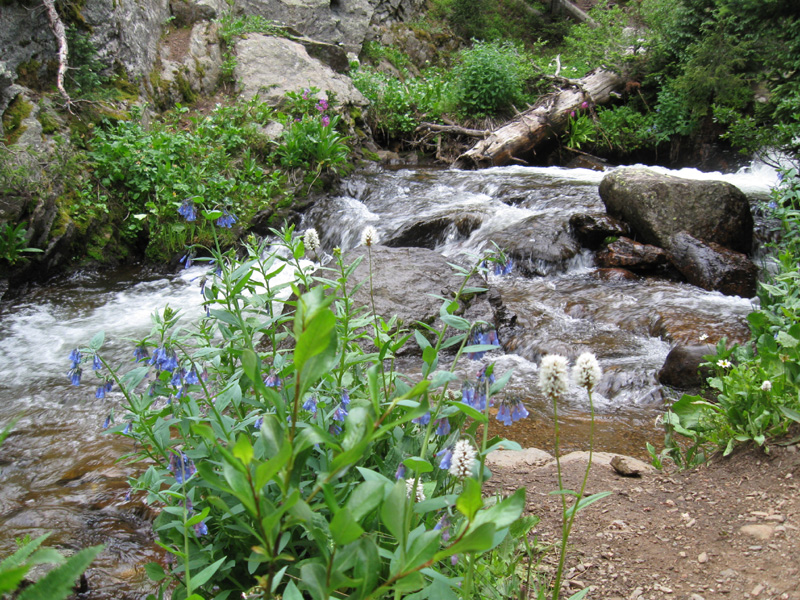 038-scenic_picture