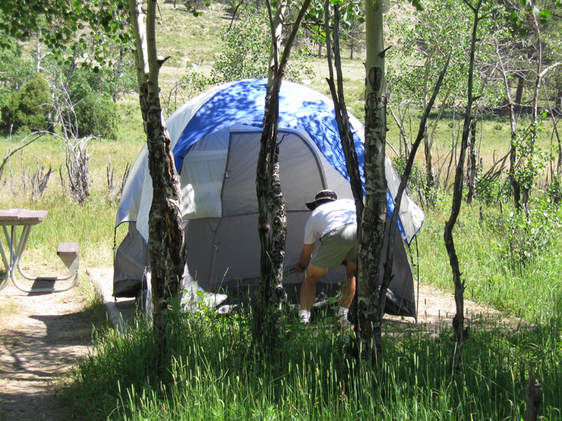 085-all_set_up