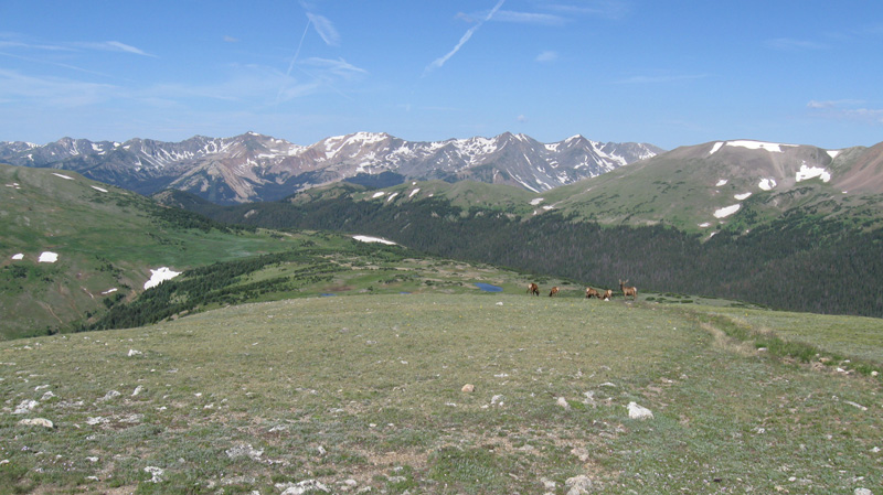 161-scenic_view