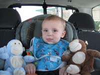 002-his_monkey_friends_are_coming_too