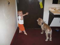 008-Kenny_and_Baxter_distraught_waiting_for_Mommy_to_return