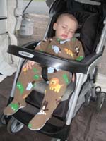 026-Kenny_fell_asleep_during_the_nightly_walk-still_daylight