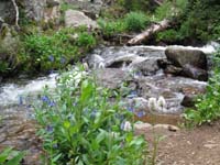 038-scenic_picture