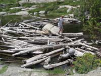 115-Chad_walking_across_log_dam