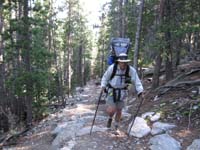 128-Daddy_working_hard_at_10k_in_deep_forest