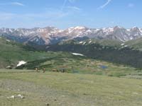 164-elk_at_Gore_Range