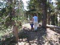 58-Kenny_hiking_up_the_trail_to_Griffith_Peak