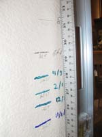 83-we_measured_Kenny-31.25_inches_tall