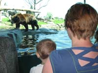 22-Kenny_and_Mommy_watching_the_Grizzly_Bear