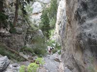 27-hiking_in_Fletcher_Canyon_in_Mt._Charleston_area