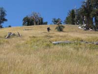 49-Kenny_and_Daddy_hiking_up_the_very_steep_meadow