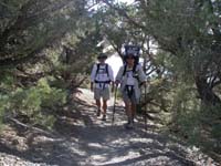 23-Dave_Daddy_and_Kenny_on_the_trail-didn't_expect_to_find_lots_of_pine_trees_in_Death_Valley