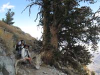 31-Daddy_and_Kenny_taking_a_break_next_to_a_Bristlecone_Pine-didn't_realize_these_trees_were_in_Death_Valley