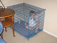 05-Kenny_in_Baxter's_cage