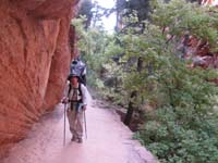 26-Daddy_Mule_cruising_along_through_Refridgerator_Canyon