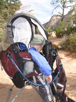 31-Kenny's_pooped-Daddy_Mule_finally_takes_a_break_at_Scout's_Lookout_after_hiking_for_an_hour