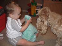 13-Baxter_is_waiting_for_Kenny_to_throw_Baxter's_toy