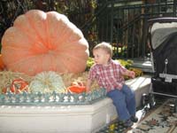 016-Kenny_is_less_than_impressed_with_the_big_pumpkin_at_the_Bellagio_Conservatory
