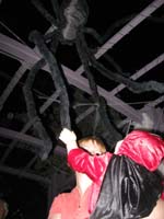 096-look_at_the_giant_spider_in_the_rose_garden