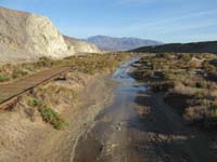 007-unexpected_natural_spring_in_Death_Valley